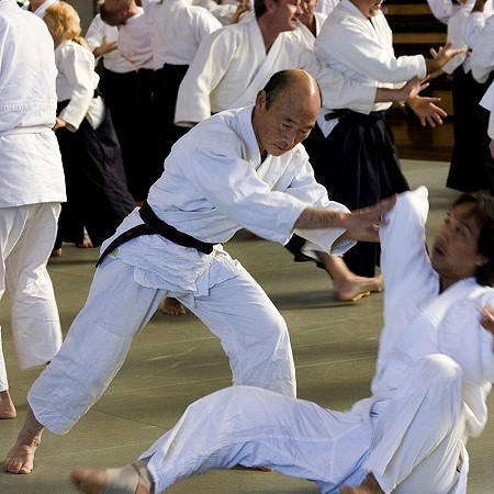 Aikido Winter School - Brisbane 2007