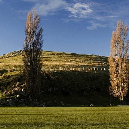 Afternoon light - Christchurch, South Island