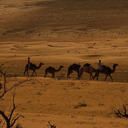 Camel riders - Wahiba Sands